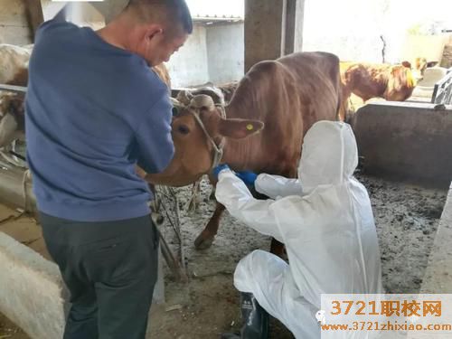 济南兽医培训学校