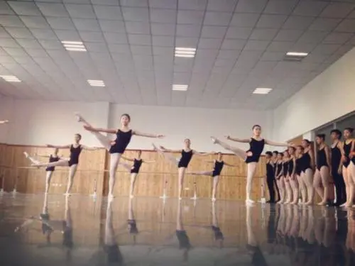 郑州哪里有舞蹈专业学校招生，有几个