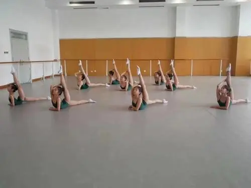 郑州舞蹈专业学校有哪些