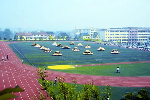 洛川县职业中等中专专业学校网站网址