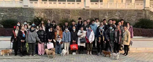 “1+X”宠物护理与美容等级证书考试