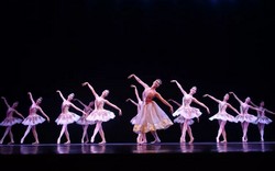 辽宁芭蕾舞团附属芭蕾舞蹈学校