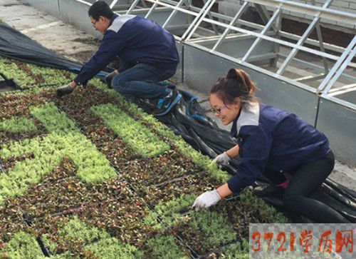 【哈尔滨园林学校】哈尔滨现代艺术设计职业技术学校园林技术专业