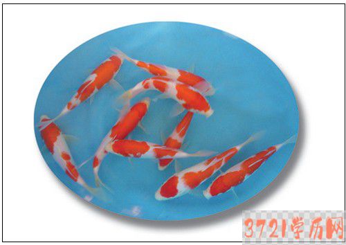 【哈尔滨养殖学校】哈尔滨兰河技工学校淡水养殖专业