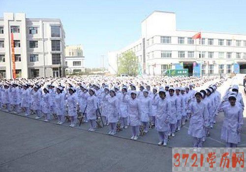 哈尔滨医护卫生学校网站地址