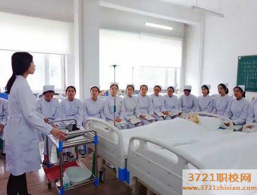 哈爾濱高護學校有哪些