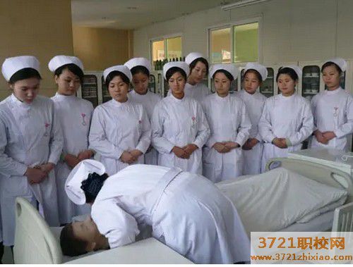 哈尔滨学护理专业哪个学校好