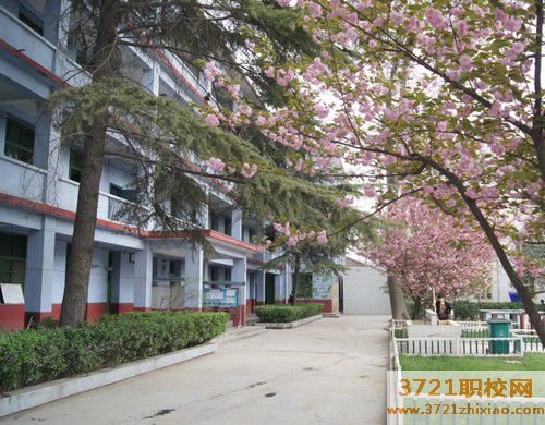 2023年西安最正规幼师学校有哪些