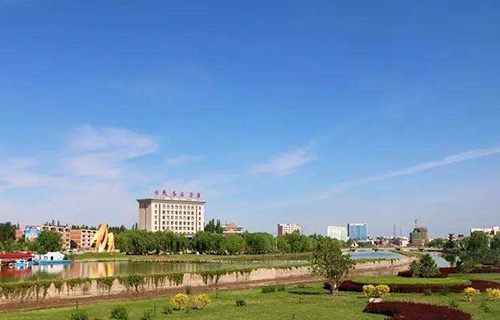 临泽县卫生学校