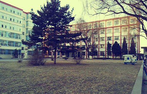 臨洮縣衛生職業技術學校