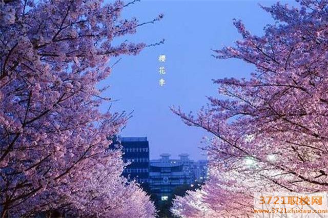 湖南都市五年制大专学校2022(今日更新)