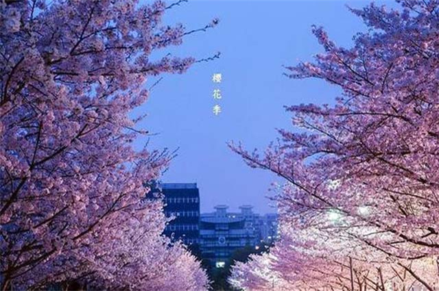 山东煤炭卫生学校办学质量怎么样？