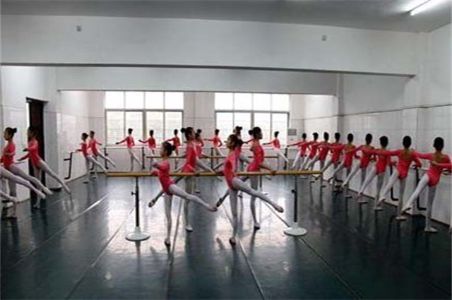 湖南哪些民办中专开设了舞蹈专业？