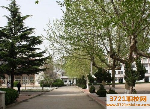 青岛哪家技校学校好