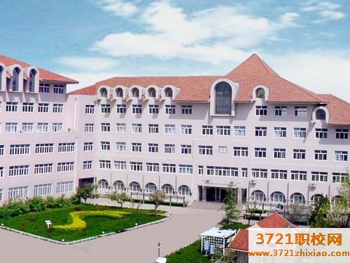 青岛初中生能学什么