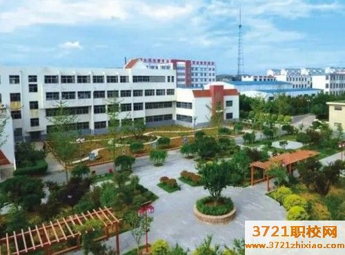 青岛3十2学校录取分数线