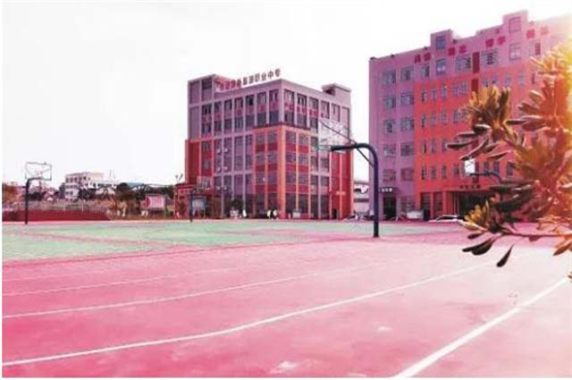 【江苏中专学校招生要求】江苏大丰中等专业学校报名条件、招生要求、招生对象