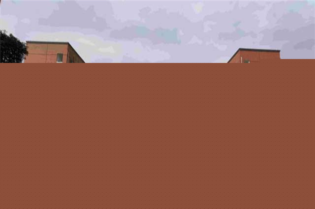 【临沂美发学校】临沂粤港澳美容美发学校:蜕变时尚梦想