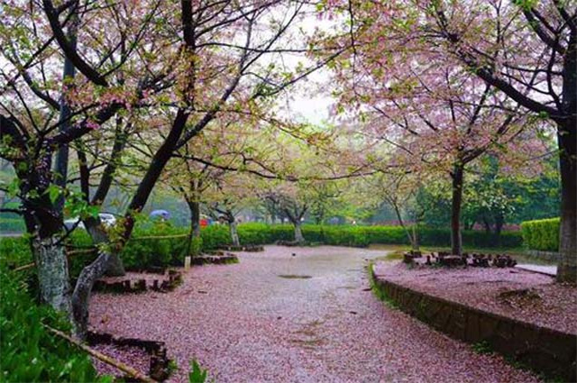 【山东技师学院】山东技师学院现代服务学院优势有哪些？